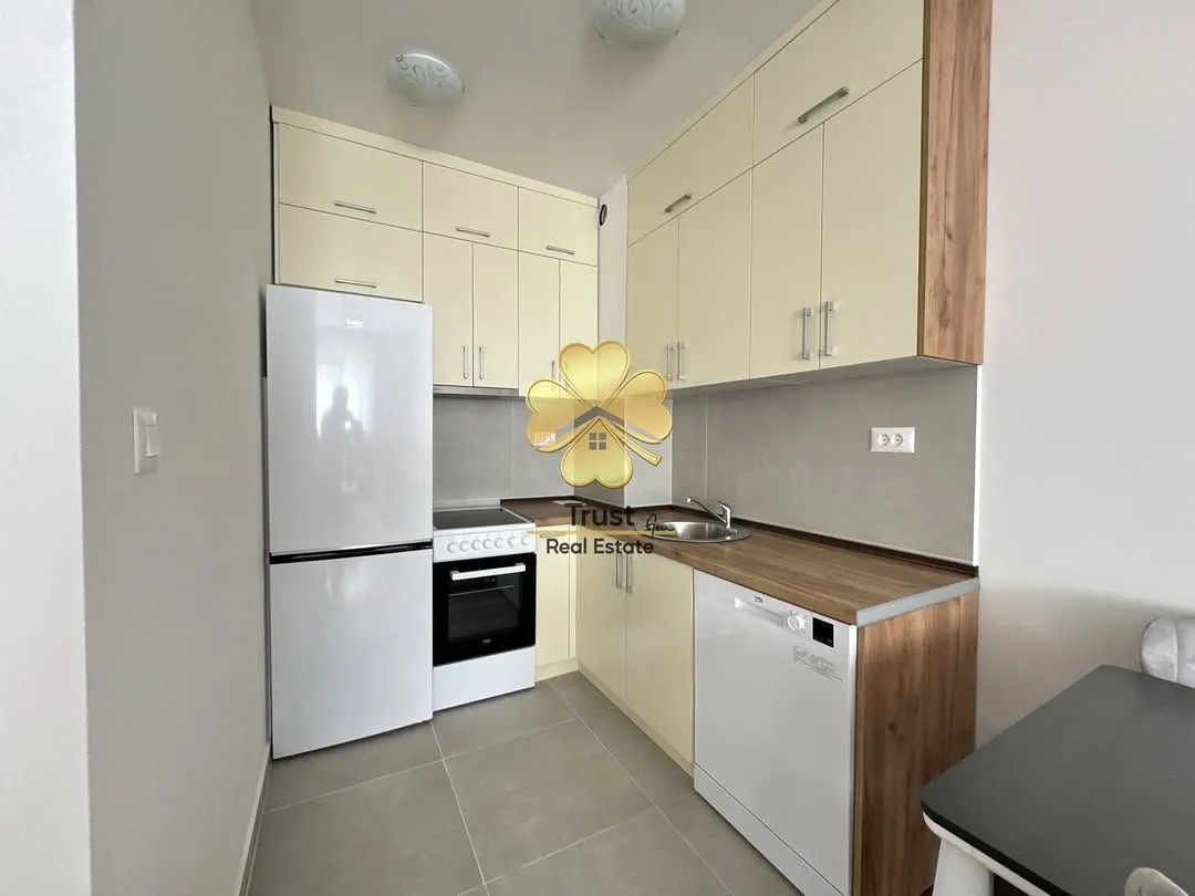 Izdavanje, jednosoban stan, 50m², Stari Aerodrom, Podgorica