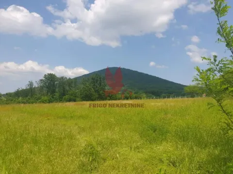 Sale, land lot, 11500m², Kosmaj, Sopot - image 5