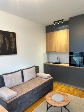Rent, studio apartment, 24m², Zabjelo, Podgorica - image 2