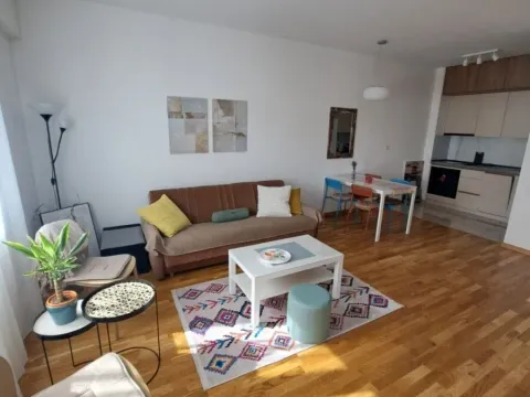 Rent, one bedroom apartment, 54m², Zagorič, Podgorica - image 14