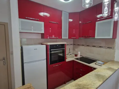 Izdavanje, jednosoban stan, 43m², Podgorica, Crna Gora - image 2