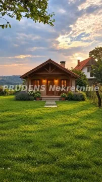 Pogled na dvorište i fasadu prizemne kamene kuće sa uređenim travnjakom. - image 9
