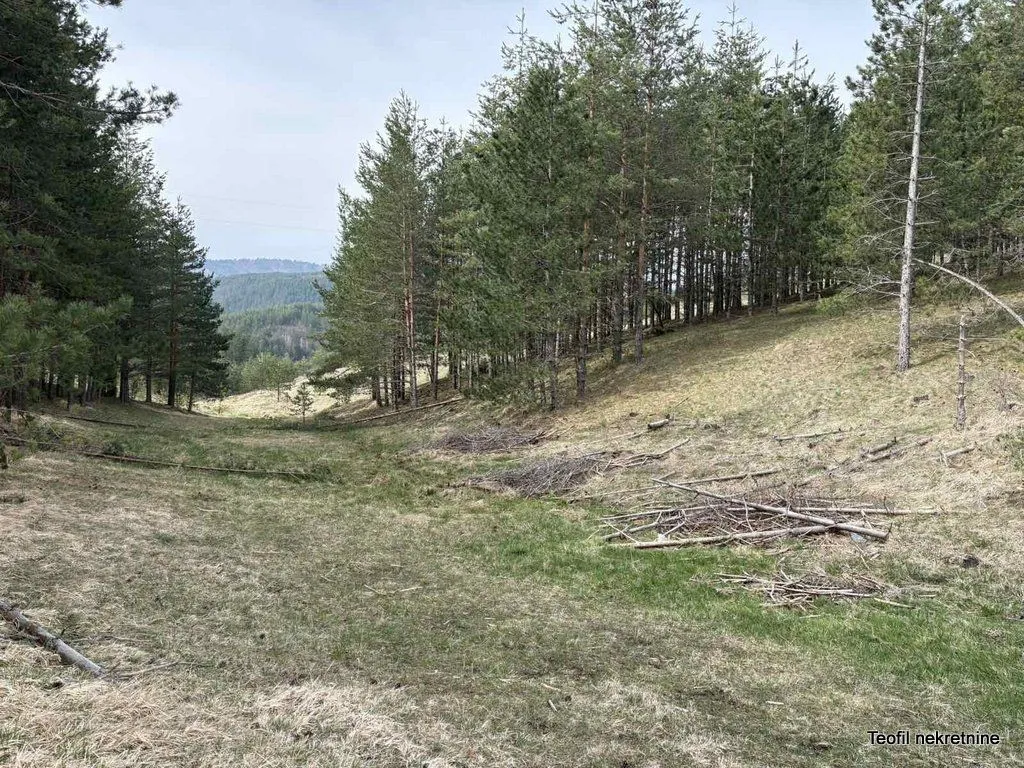 Prodaja, plac, 6600m², Zlatibor, Srbija