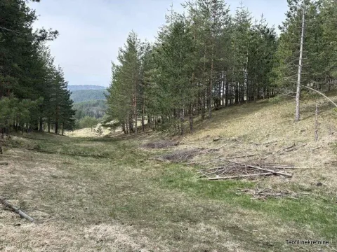 Prodaja, plac, 6600m², Zlatibor, Srbija - image 5