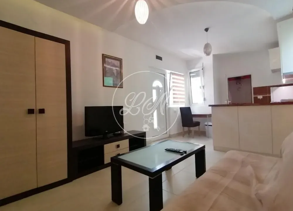 Rent, apartment, 22m², Savski Venac, Beograd