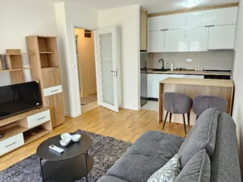 Izdavanje, jednosoban stan, 45m², Zabjelo, Podgorica - image 11