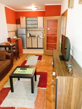 Izdavanje, jednosoban stan, 40m², Blok 6, Podgorica - image 3