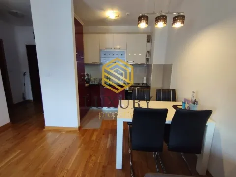 Rent, one bedroom apartment, 43m², City Kvart, Podgorica - image 2
