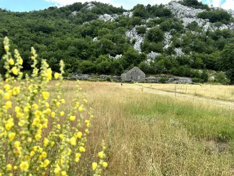 Zemljište in Grahovo