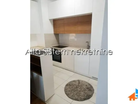 Izdavanje, dvosoban stan, 67m², Novi Beograd Sve Podlokacije, Beograd - image 11