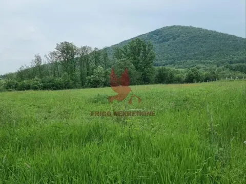 Sale, land lot, 11500m², Kosmaj, Sopot - image 7