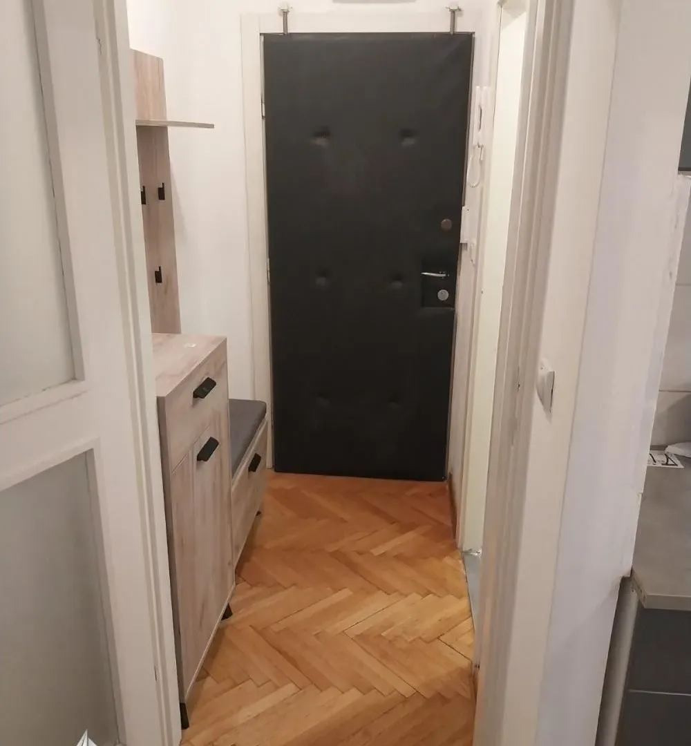 Rent, two bedroom apartment, 47m², Vračar Centar, Vračar Sve Podlokacije