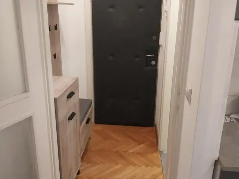 Rent, two bedroom apartment, 47m², Vračar Centar, Vračar Sve Podlokacije - image 11