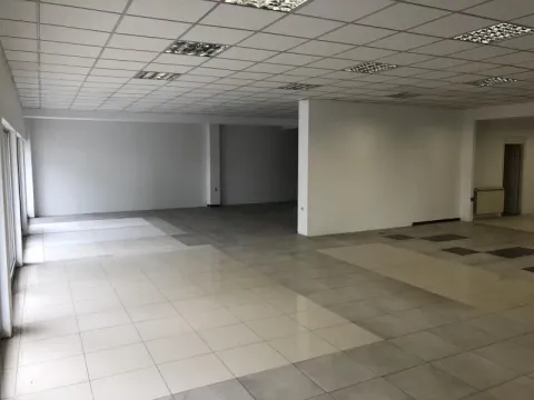 Izdavanje, poslovni prostor, 280m², Altina, Beograd - image 10