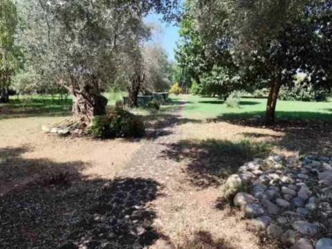 Sale, house, 205m², Tuzi, Podgorica - image 3