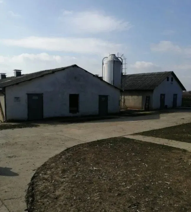 Prodaja, kuća, 3000m², Banatski Brestovac, Pančevo