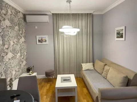 Rent, one bedroom apartment, 34m², Zabjelo, Podgorica - image 5