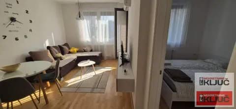 Izdavanje, dvosoban stan, 40m², Liman 4, Novi Sad Sve Podlokacije - image 5