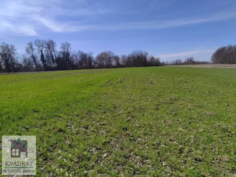 Sale, land lot, 182m², Brgule, Ub - image 5