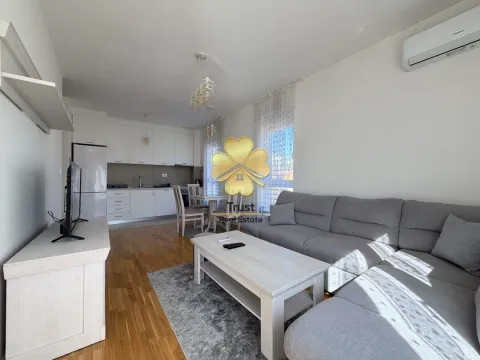 Rent, one bedroom apartment, 50m², Zabjelo, Podgorica - image 2