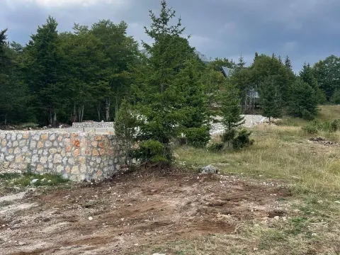 Prodaja, plac, 900m², Motički gaj, Žabljak - image 6