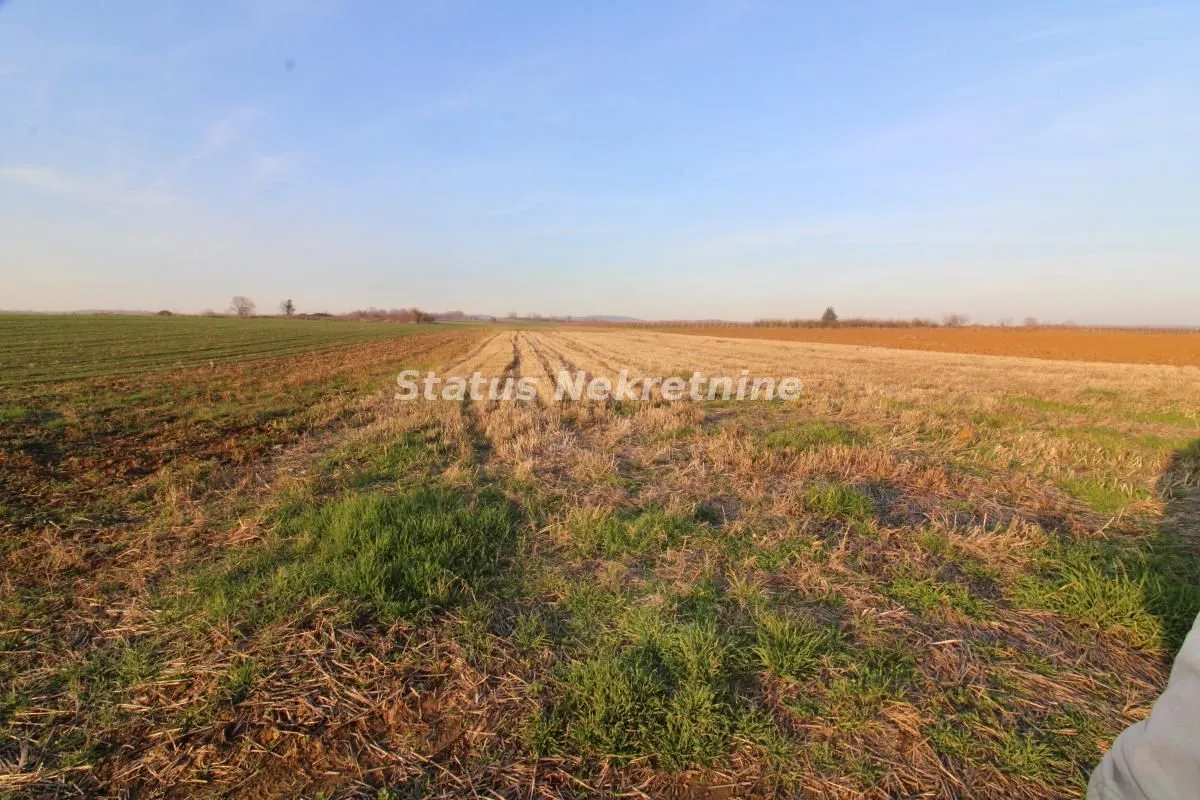Prodaja, plac, 7700m², Irig, Srbija