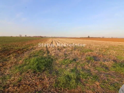Sale, land lot, 7700m², Irig, Srbija - image 6