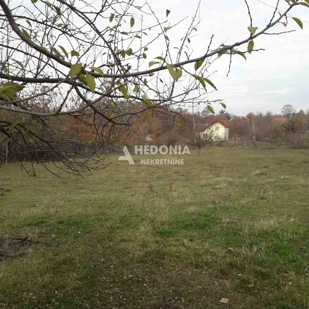 Prodaja, plac, 4000m², Stepojevac, Lazarevac