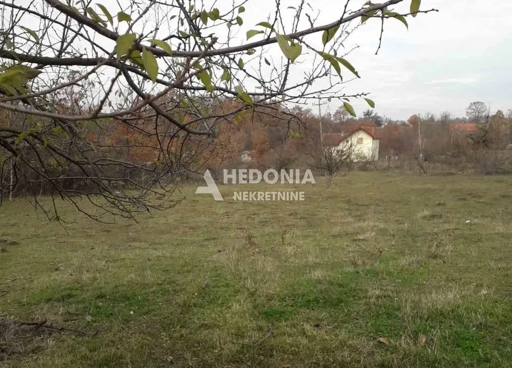 Prodaja, plac, 4000m², Stepojevac, Lazarevac