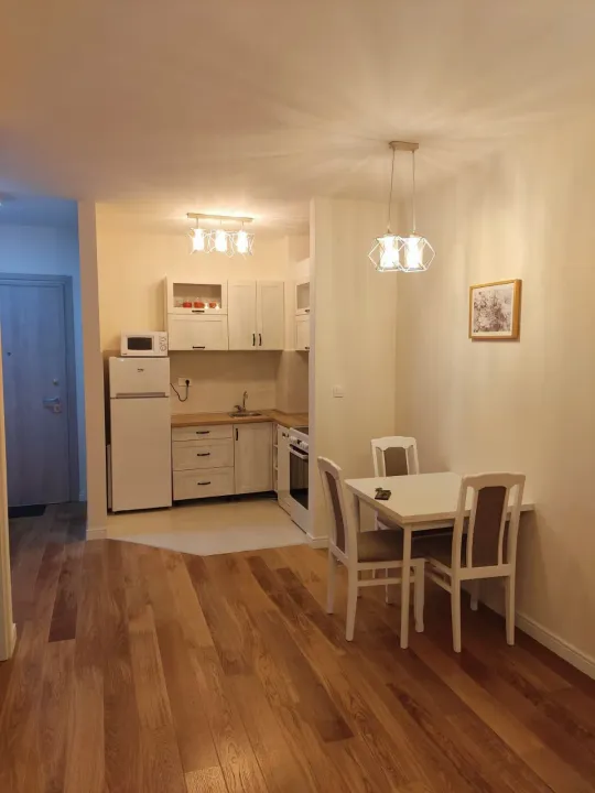 Rent, one bedroom apartment, 42m², Central Point, Podgorica