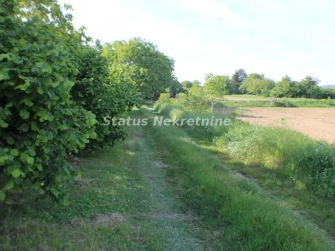 Prodaja, plac, 1200m², Irig, Srbija - image 8