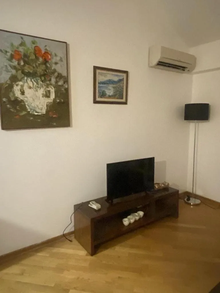 Izdavanje, jednosoban stan, 48m², Preko Morače, Podgorica