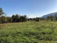 Prodaja, plac, 3620m², Gornje Polje, Nikšić - image 1