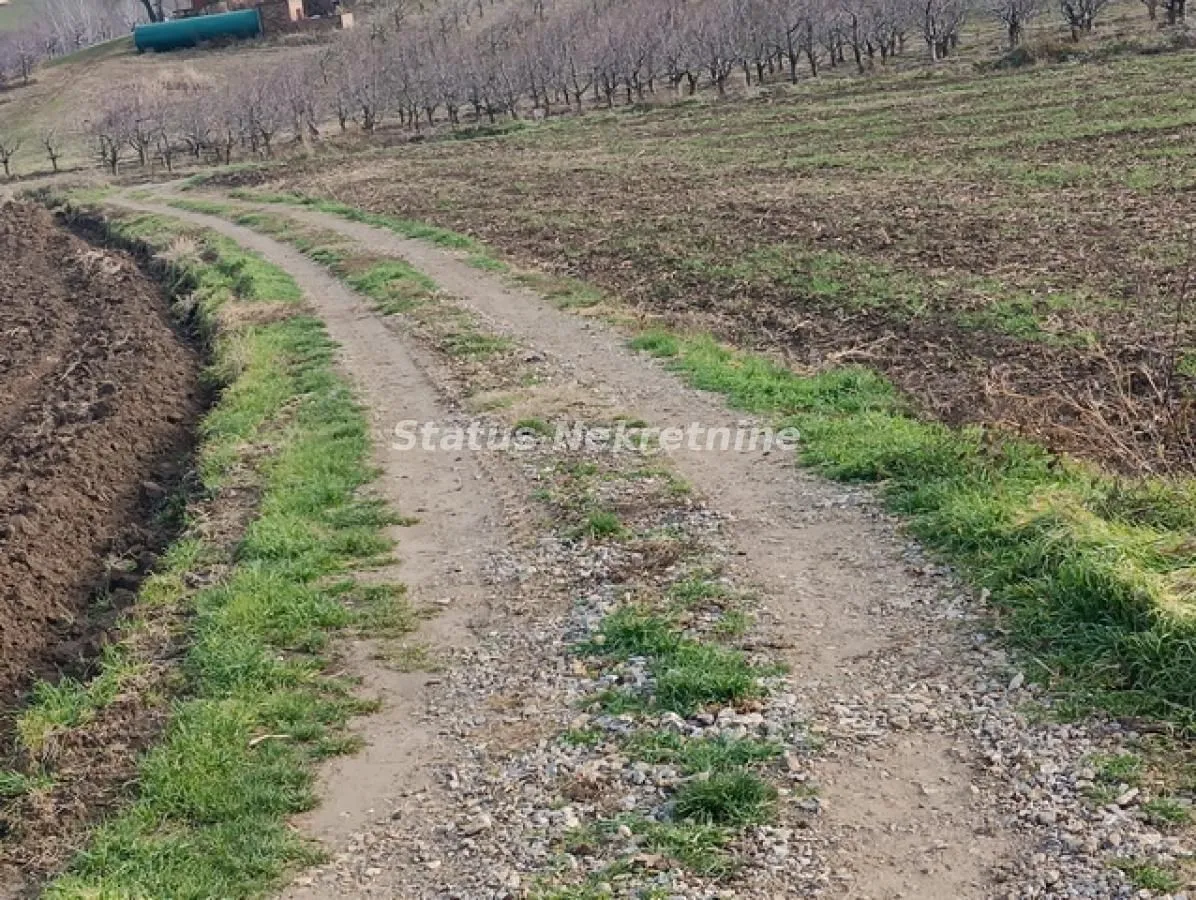 Prodaja, plac, 322m², Sremski Karlovci, Novi Sad