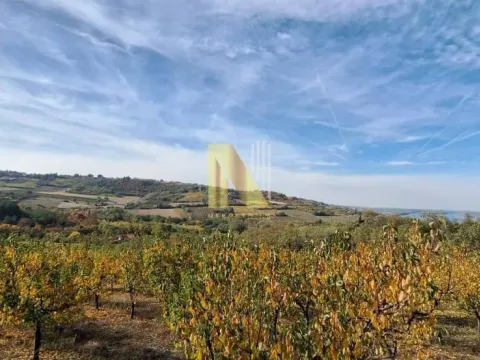 Prodaja, plac, 8200m², Sremski Karlovci, Novi Sad - image 3