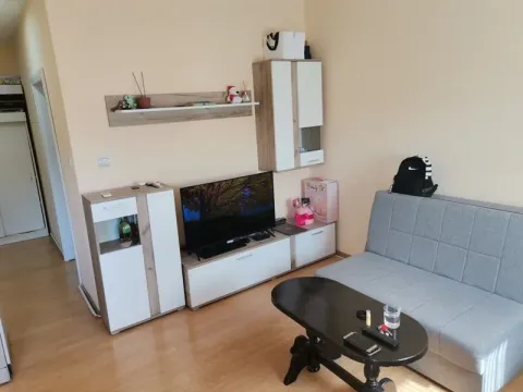 Dnevna soba sa sivom sofom, TV komodom i stočićem. - image 3