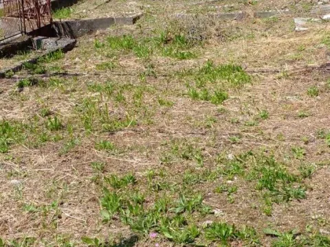 Prodaja, plac, 1550m², Zaljevo, Bar - image 3