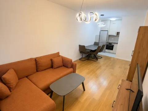 Rent, one bedroom apartment, 47m², Central Point, Podgorica - image 3