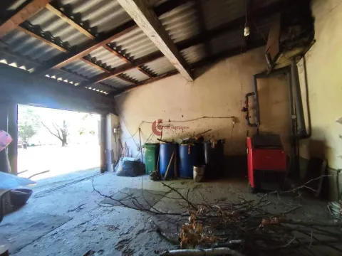 Prodaja, kuća, 880m², Bački Vinogradi, Subotica - image 31