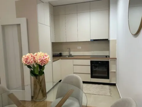 Izdavanje, jednosoban stan, 45m², Zabjelo, Podgorica - image 2