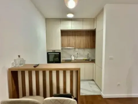 Izdavanje, jednosoban stan, 45m², 1 maj, Podgorica - image 4