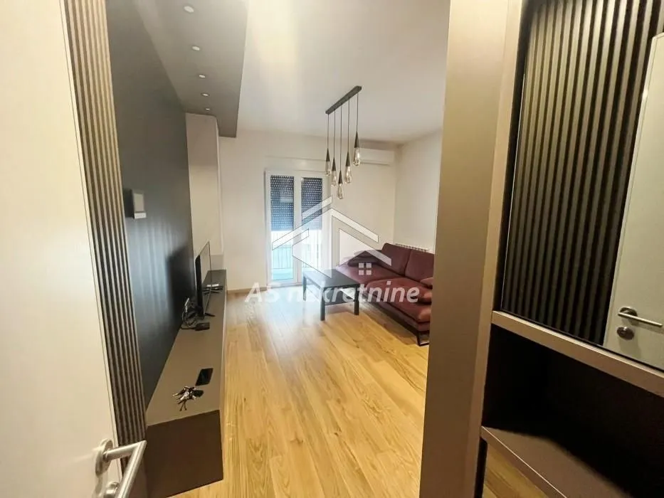 Izdavanje, stan, 55m², Južni Bulevar, Vračar Sve Podlokacije