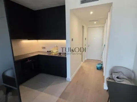 Izdavanje, jednosoban stan, 33m², Novi Beograd Sve Podlokacije, Beograd - image 12