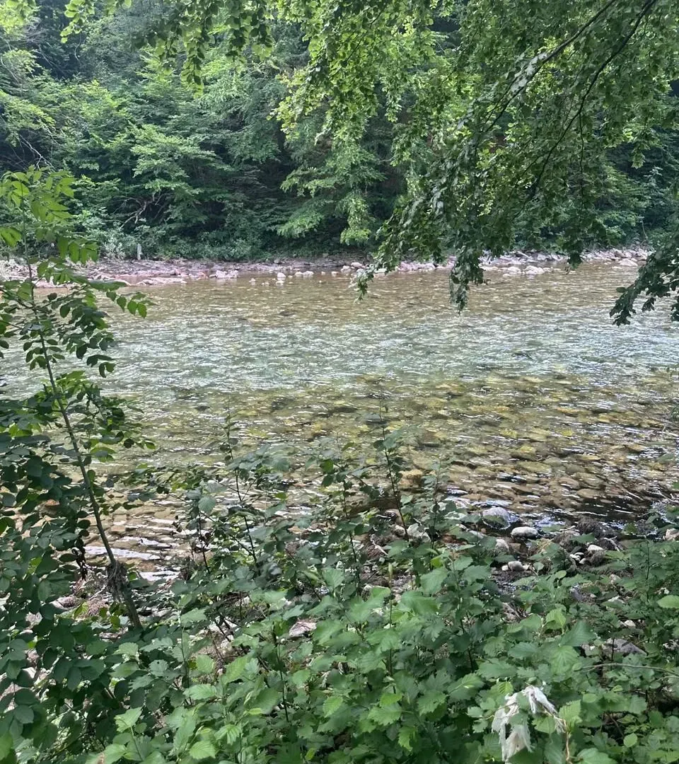 Prodaja, plac, 3239m², Moračko Trebaljevo, Kolašin