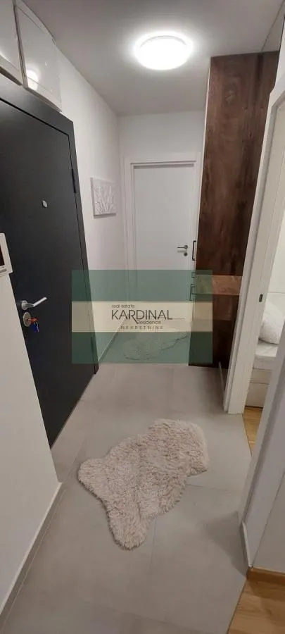 Izdavanje, jednosoban stan, 34m², Detelinara, Novi Sad Sve Podlokacije