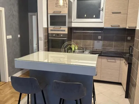 Izdavanje, dvosoban stan, 45m², Vračar Sve Podlokacije, Beograd - image 5