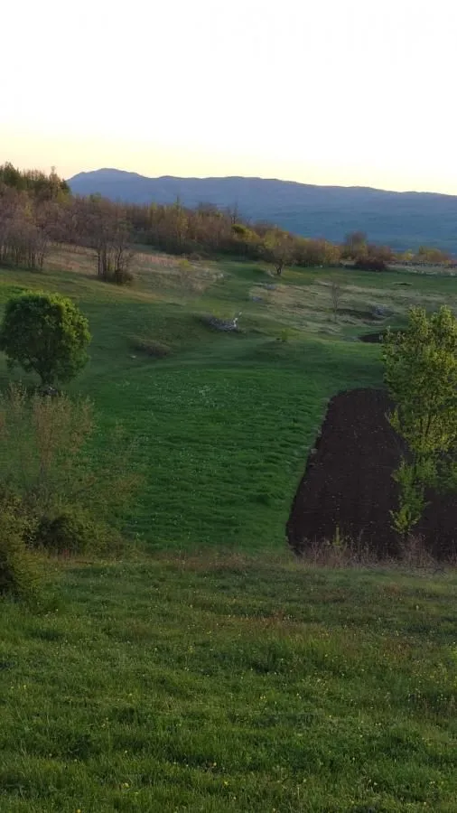 Prodaja, plac, 136000m², Dubočke, Nikšić