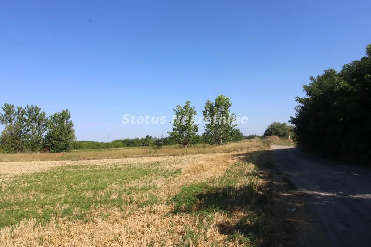 Sale, land lot, 6396m², Šangaj, Novi Sad Sve Podlokacije