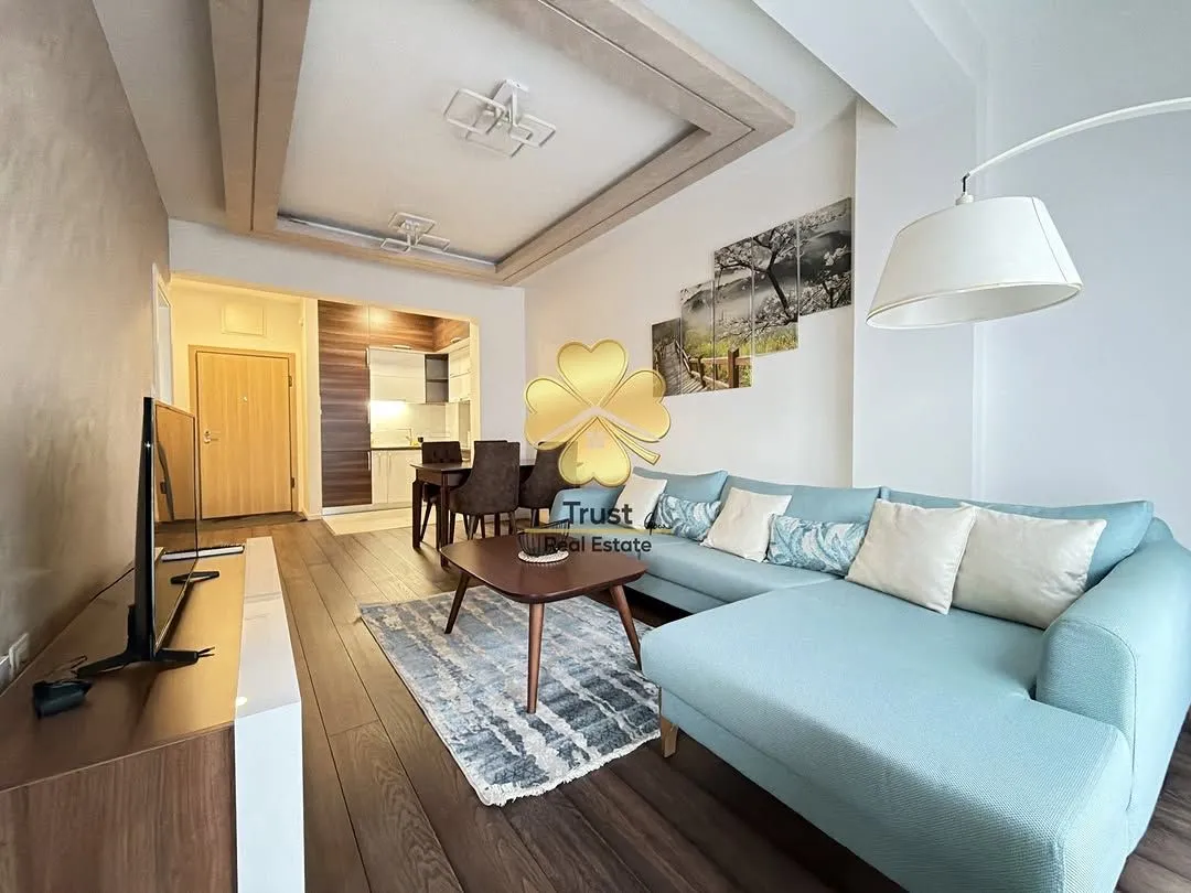 Rent, one bedroom apartment, 50m², Vezirov Most, Podgorica