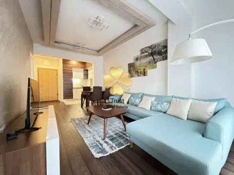 Rent, one bedroom apartment, 50m², Vezirov Most, Podgorica - image 2